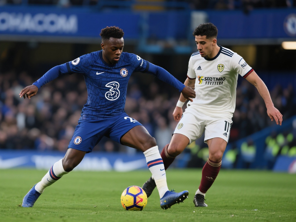 如何在支持 如何在支持